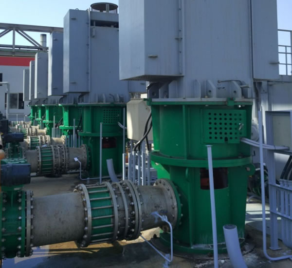 委內(nèi)瑞拉電廠輔機立式長軸循環(huán)水泵